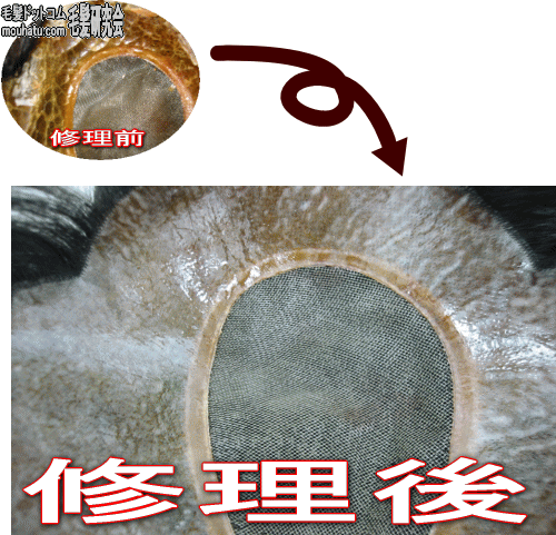 ２、かつら修理前→修理後